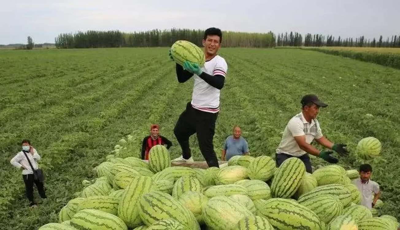 Keshavarzi China 
